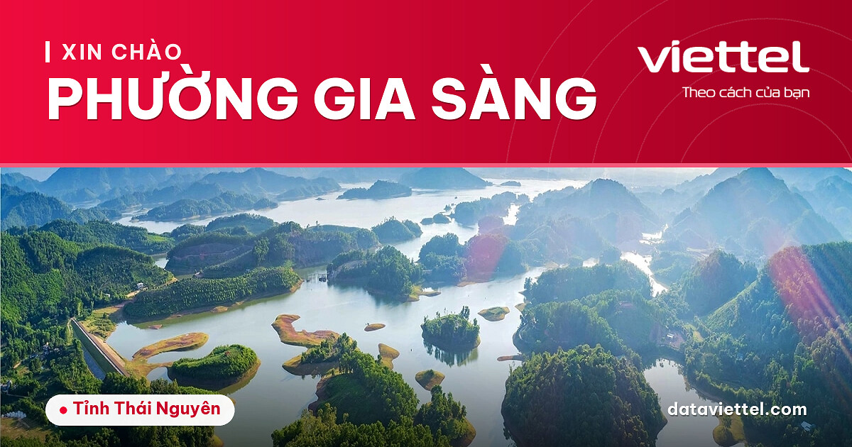 Viettel Phường Gia Sàng 3 Viettel Phường Gia Sàng cung cấp dịch vụ Internet, di động và giải pháp số