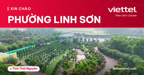 Tư vấn lắp mạng Viettel tại Phường Linh Sơn cho hộ gia đình