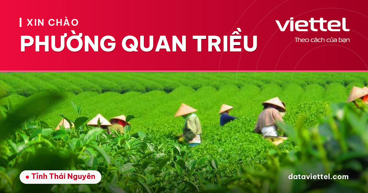 Viettel Phường Quan Triều 3 Viettel Phường Quan Triều tư vấn Internet cáp quang và dịch vụ viễn thông