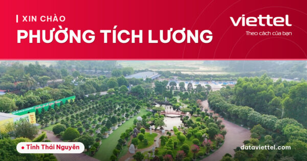 Viettel Phường Tích Lương cung cấp Internet cáp quang, di động và truyền hình số