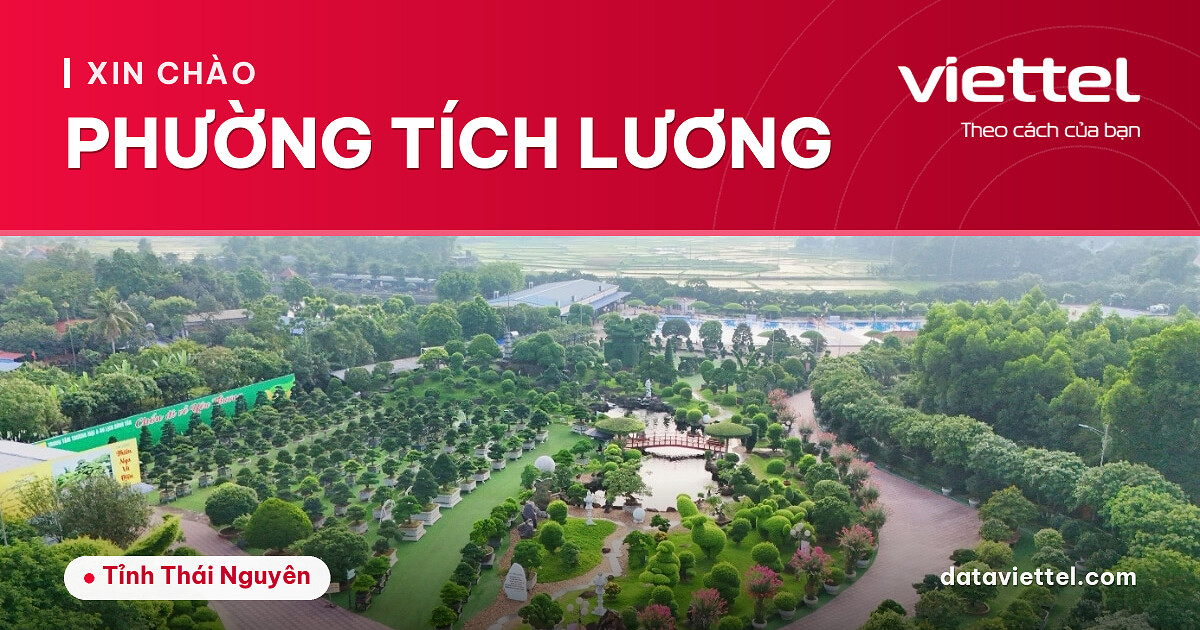 Viettel Phường Tích Lương cung cấp Internet cáp quang, di động và truyền hình số