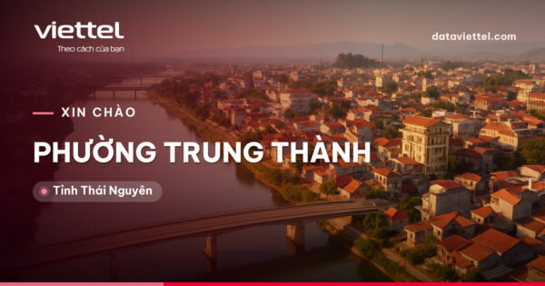 Viettel Phường Trung Thành tư vấn lắp Internet cáp quang tại nhà