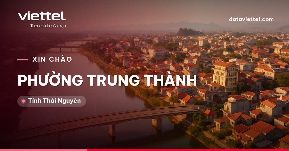 Viettel Phường Trung Thành tư vấn lắp Internet cáp quang tại nhà
