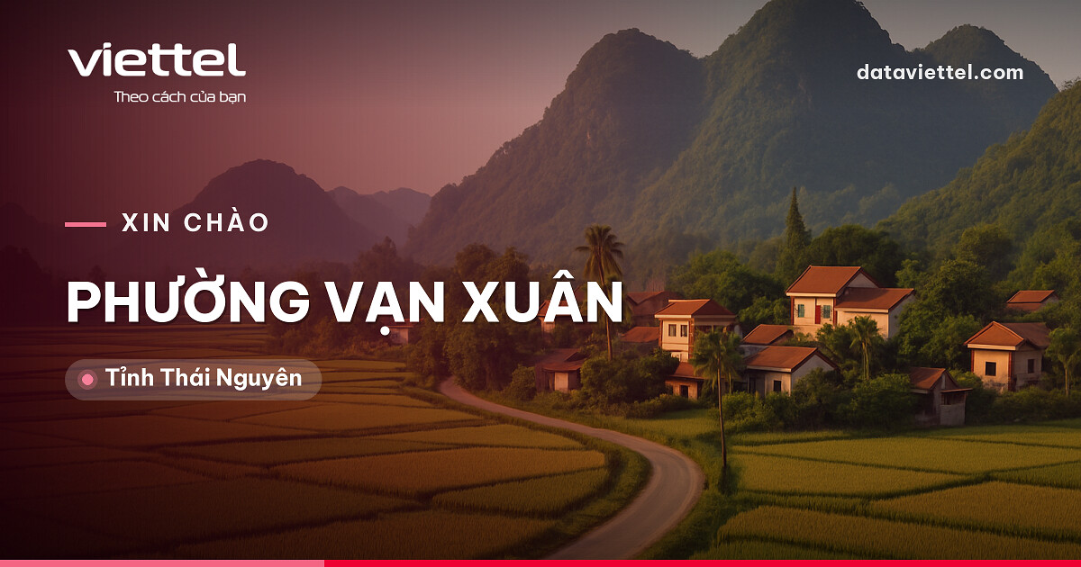 Kỹ thuật viên kiểm tra lắp mạng Viettel Phường Vạn Xuân tại nhà