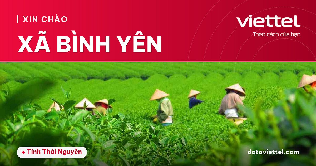 Kỹ thuật viên khảo sát lắp mạng Viettel Xã Bình Yên tại nhà