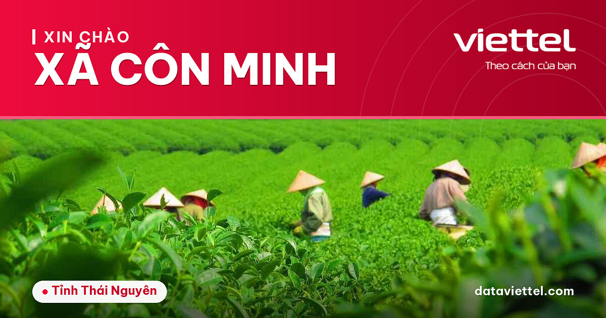 Viettel Xã Côn Minh cung cấp giải pháp Internet cáp quang và viễn thông