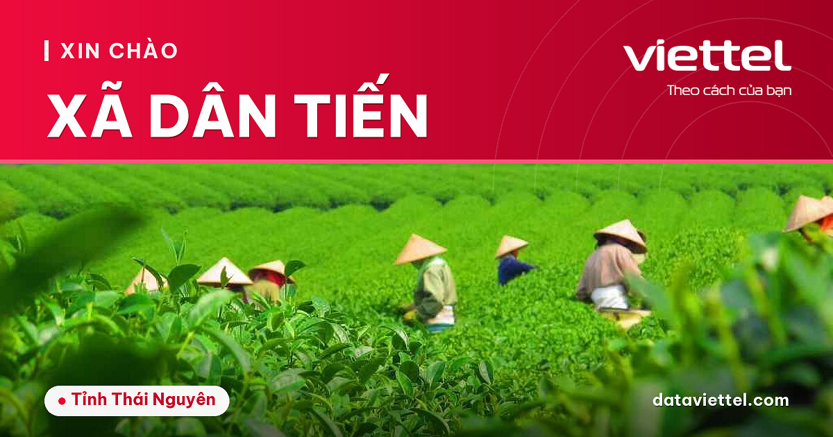 Viettel Xã Dân Tiến lắp Internet cáp quang và Wi-Fi