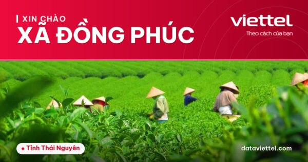 Viettel Xã Đồng Phúc tư vấn dịch vụ Internet, di động và giải pháp số