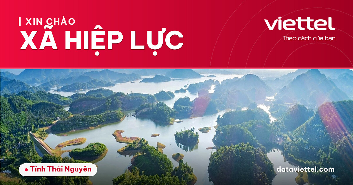 Viettel Xã Hiệp Lực tư vấn lắp Internet cáp quang và dịch vụ viễn thông