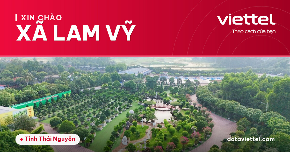 Viettel Xã Lam Vỹ 3 Viettel Xã Lam Vỹ tư vấn lắp mạng Internet cáp quang và dịch vụ viễn thông