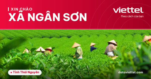 Viettel Xã Ngân Sơn cung cấp dịch vụ viễn thông và Internet tại địa phương