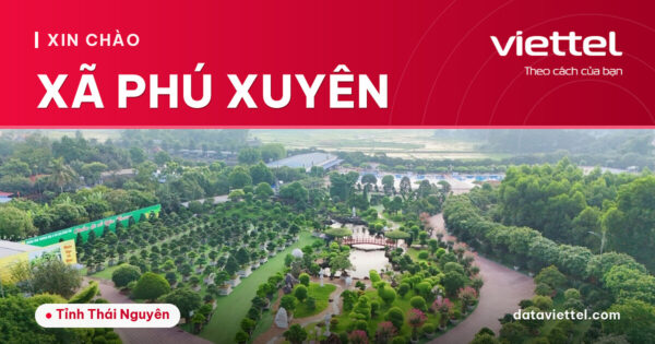Viettel Xã Phú Xuyên tư vấn lắp Internet cáp quang tại nhà
