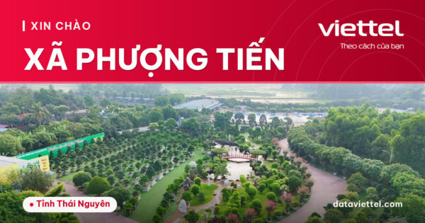 Tư vấn lắp Internet cáp quang Viettel Xã Phượng Tiến