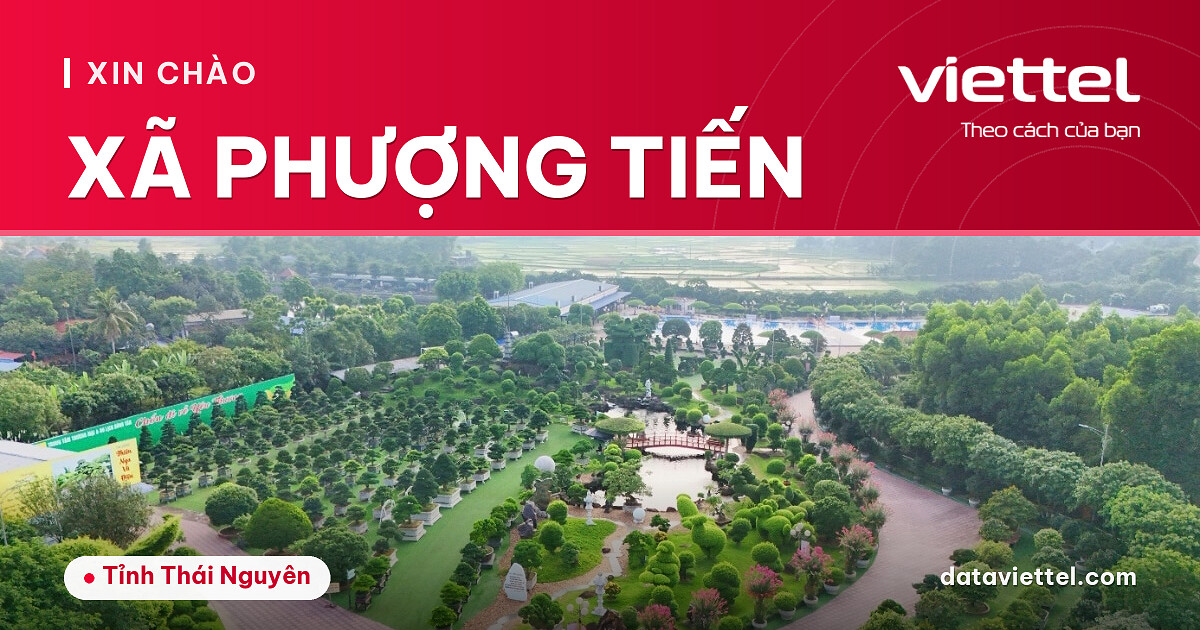 Tư vấn lắp Internet cáp quang Viettel Xã Phượng Tiến