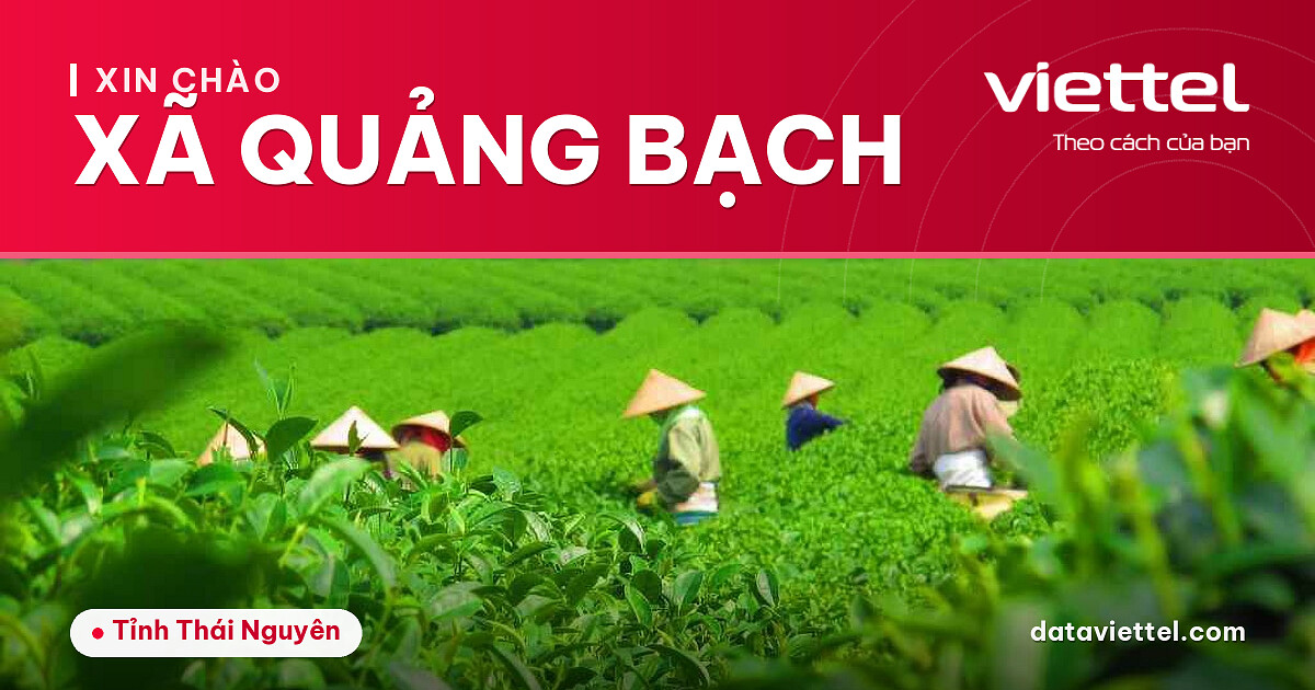 Viettel Xã Quảng Bạch tư vấn lắp mạng cáp quang và dịch vụ viễn thông