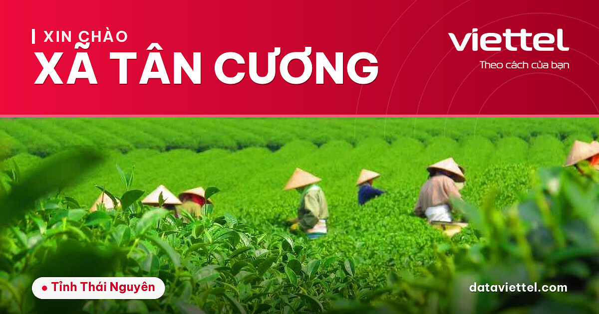 Viettel Xã Tân Cương tư vấn lắp mạng cáp quang và dịch vụ viễn thông
