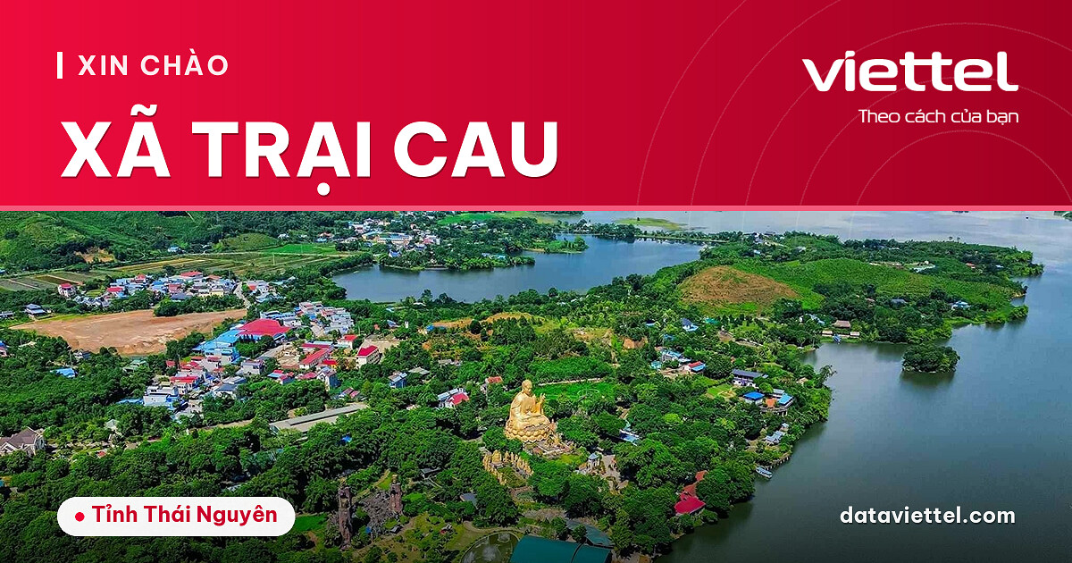 Viettel Xã Trại Cau 3 Viettel Xã Trại Cau lắp mạng Internet cáp quang tại địa phương