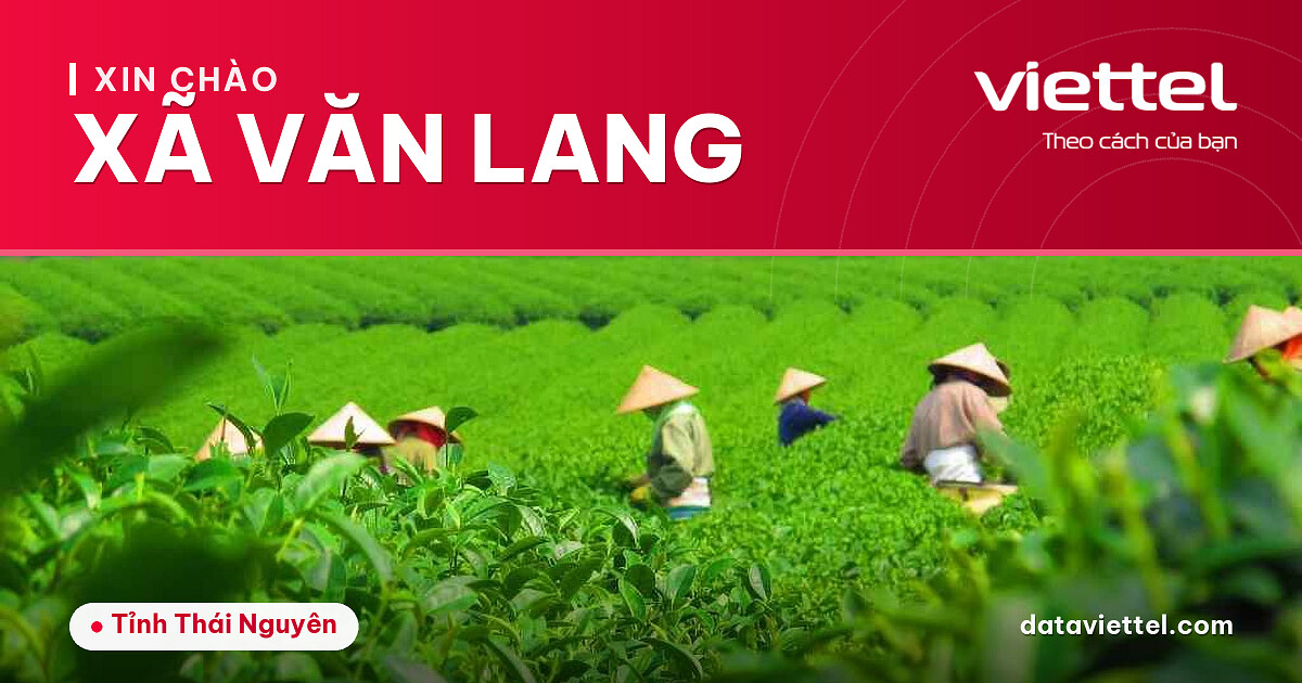 Viettel Xã Văn Lang tư vấn lắp mạng cáp quang và dịch vụ viễn thông